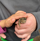 Students holding and petting a frog