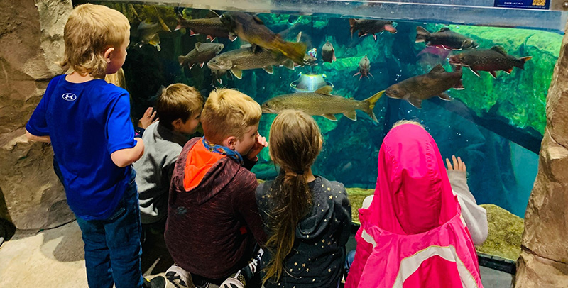 Students at an aquarium